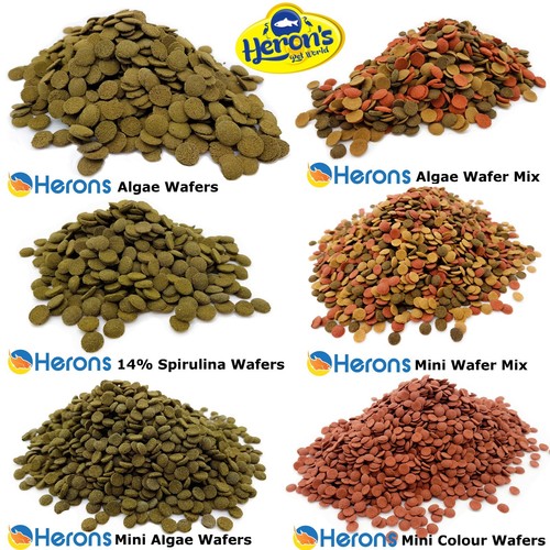 Herons premium algae - herons,