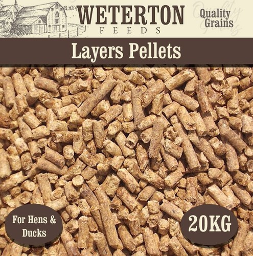 20kg layers pellets poultry - layers,