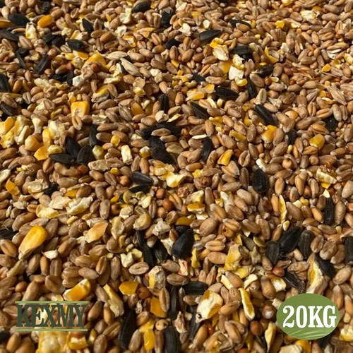 Wild bird seed - mixture,