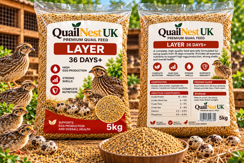 Quail layer feed days - quail, 36