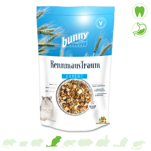 Gerbil food bunny nature - food,