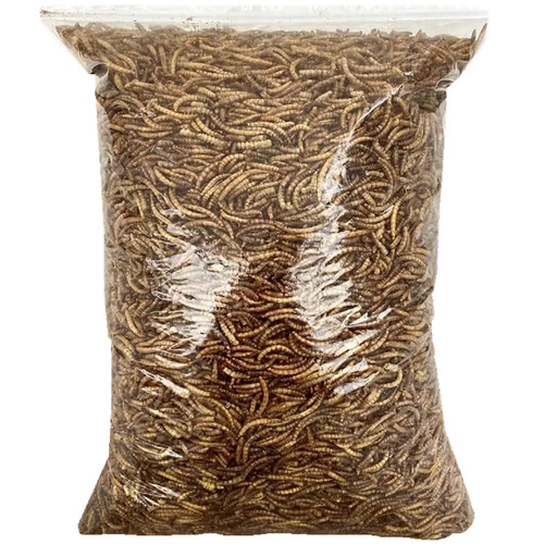 Dried mealworms 50g 250g 500g - mealworms,