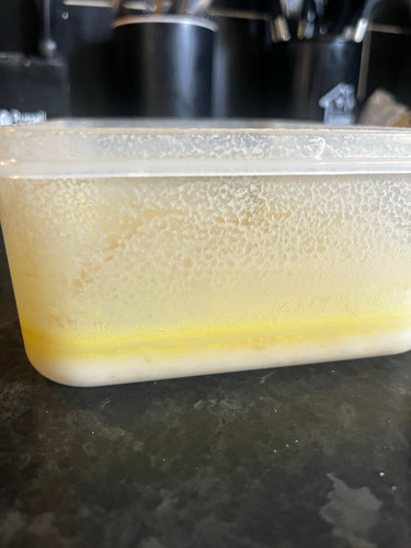 Microworms fry food instant - microworms,