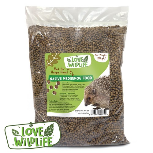 Love wildlife hedgehog - love,