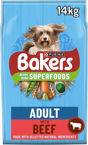 Bakers adult dog - adult,